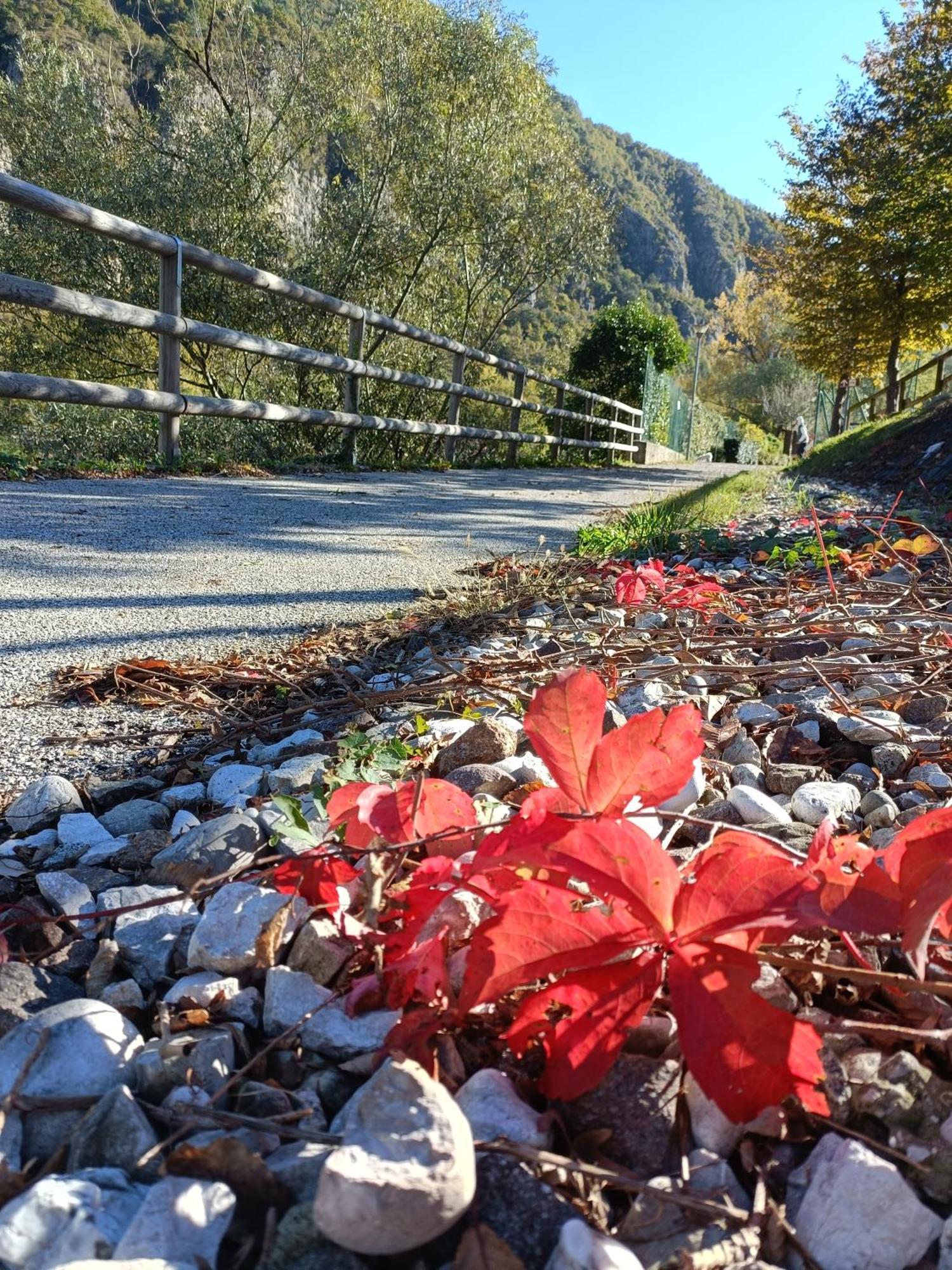 Borgo Lungofiume B&B Valbrenta Bagian luar foto